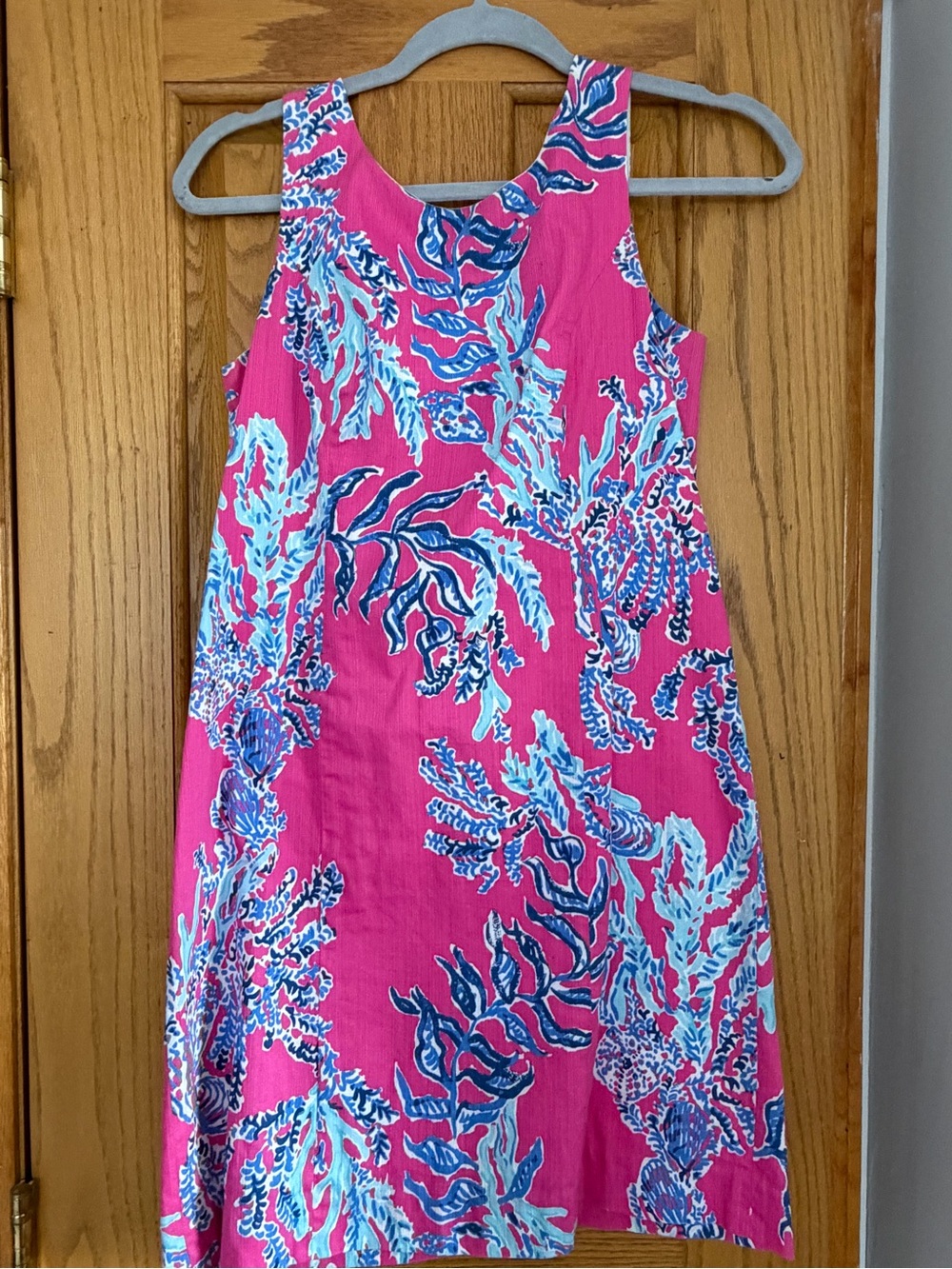 Pink Print Lily Sleeveless A-Line Dress